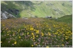 urlaub in sterreich