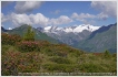 urlaub in sterreich