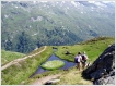 urlaub in sterreich