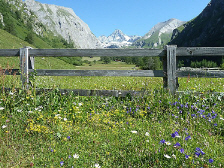 urlaub in sterreich