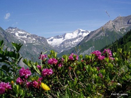 urlaub in sterreich